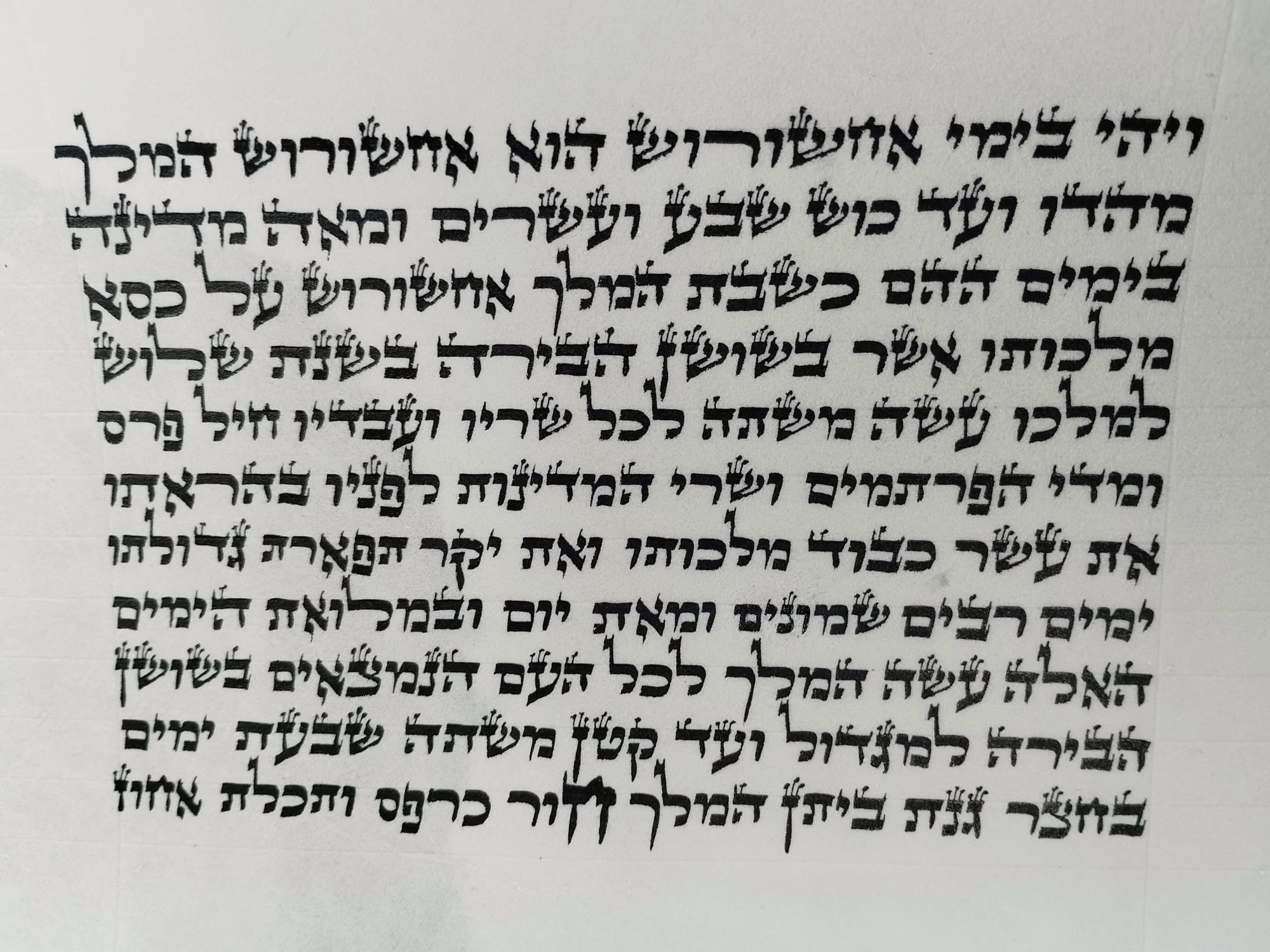מגילת אסתר 11 שורות